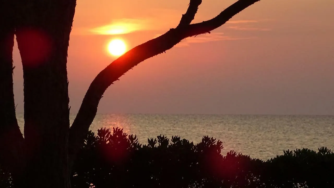 Budoni - The House Of The Rising Sun
